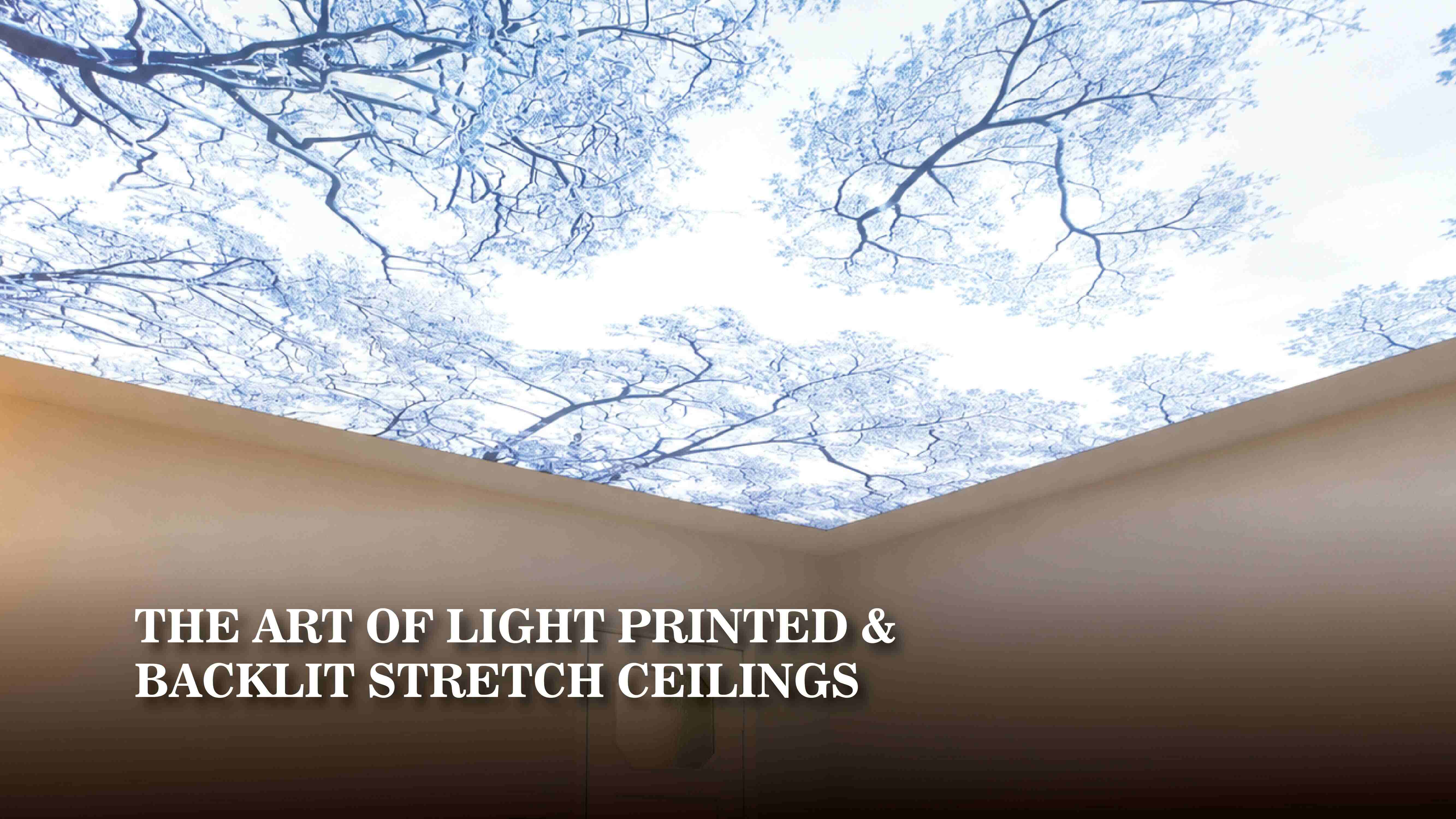 Stretch Ceiling Systems